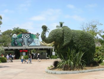 San-Diego-Zoo-Discount